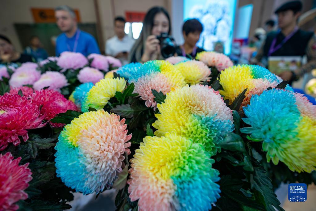 博悦平台网络测试登录